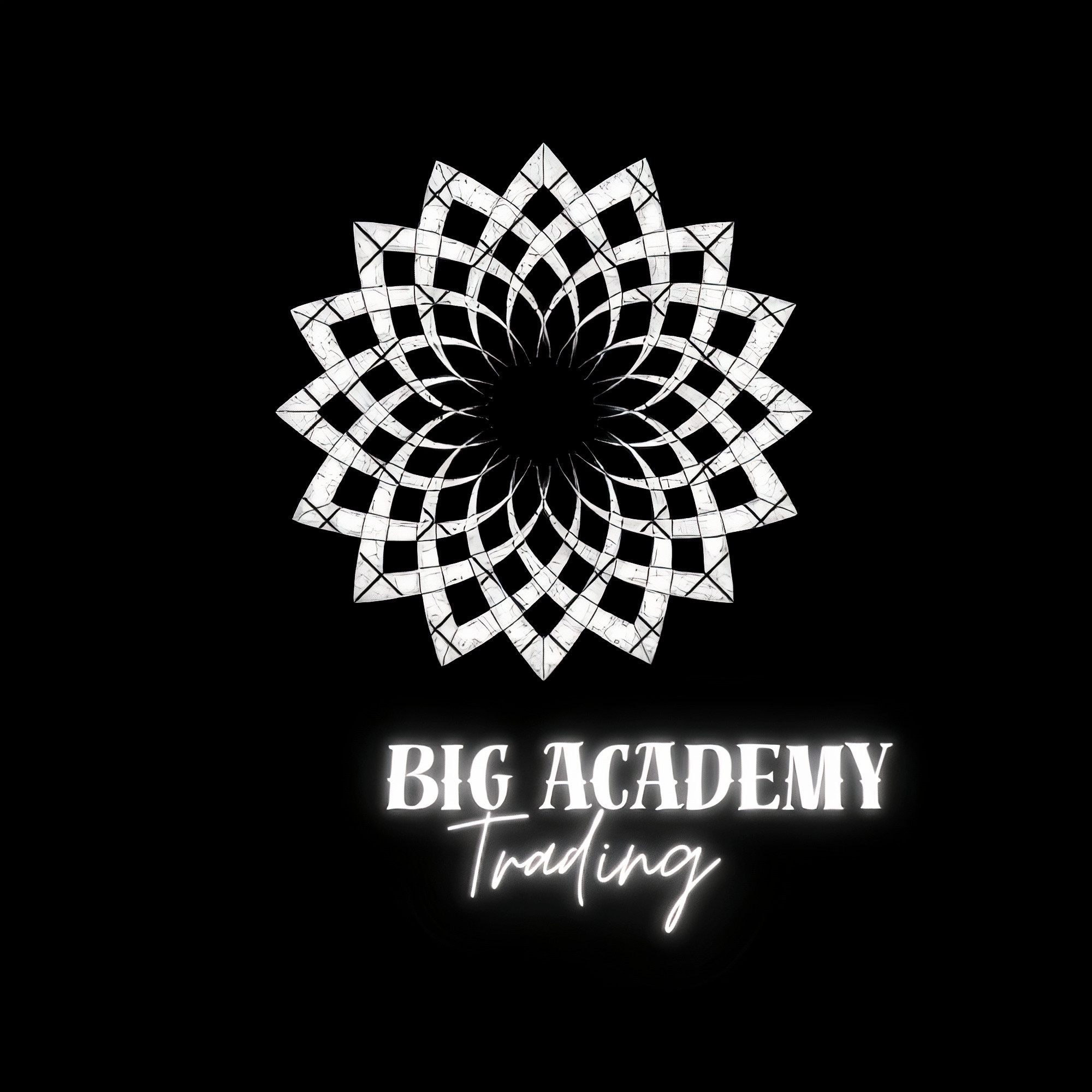Big Academy Trading